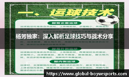 杨芳独家：深入解析足球技巧与战术分享
